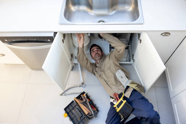 Best Residential Plumbing Services  in Lake Crystal, MN