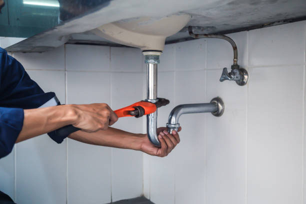 Best Commercial Plumbing Services  in Lake Crystal, MN
