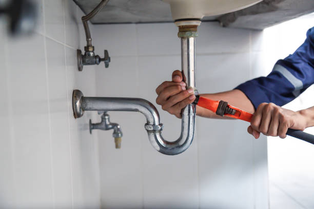 Best Plumbing Inspection Services  in Lake Crystal, MN