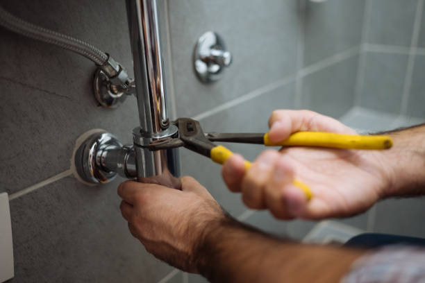 Best Plumbing Inspection Services  in Lake Crystal, MN