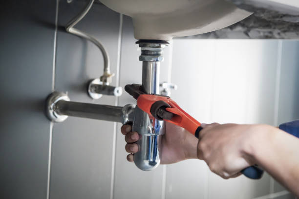 Best Plumbing Services Near Me  in Lake Crystal, MN
