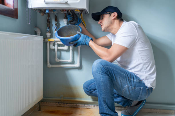 Best Affordable Plumbing Services  in Lake Crystal, MN