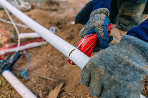 Best Best Plumbers Near Me  in Lake Crystal, MN